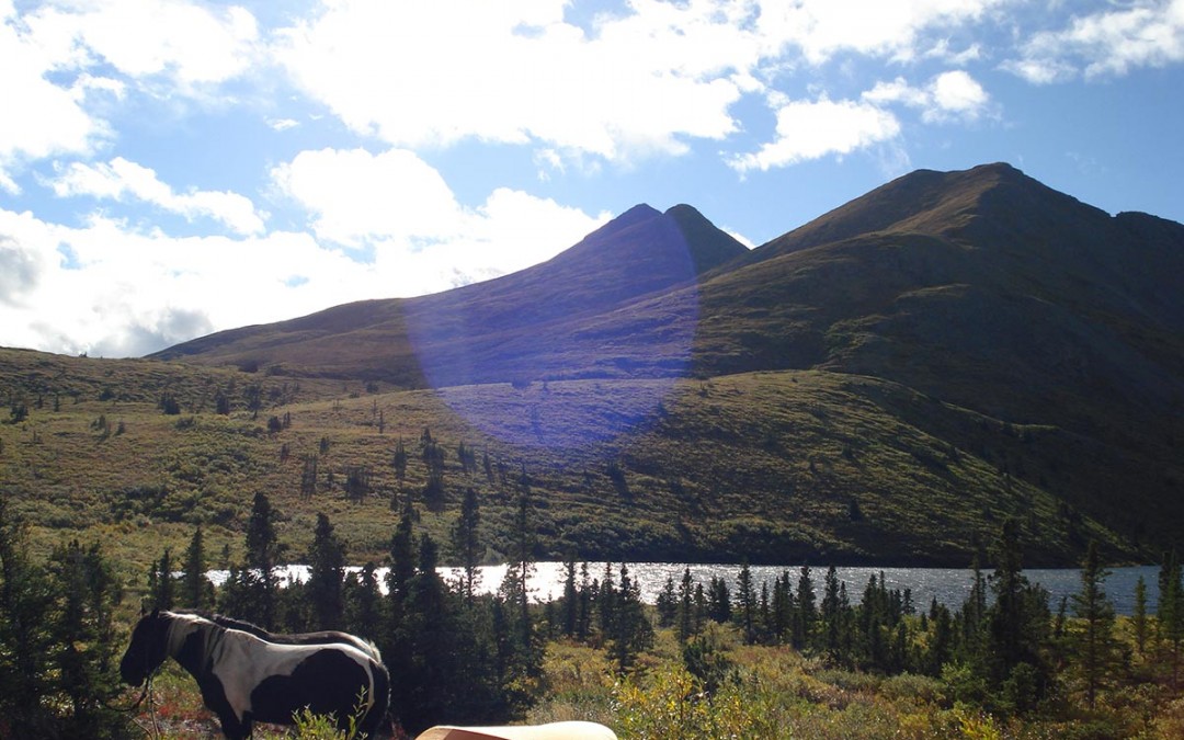 Horseback Riding in the Yukon