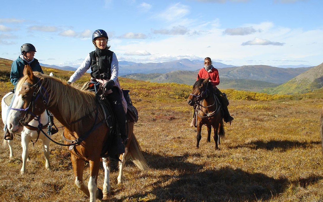 Group Enjoying Horseback Riding