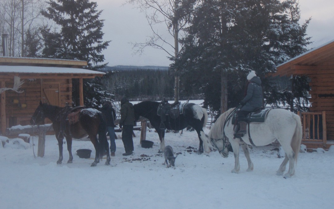winter9